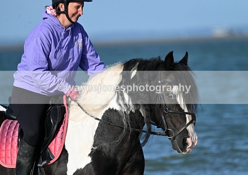 WJ7_2852 - Kellie & Churchill ... do Hayling Island 25-08-24