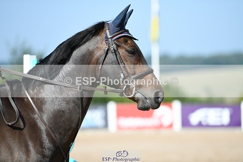 250725-103050-01420 - Cls 6 Snr British Novice and 90cm