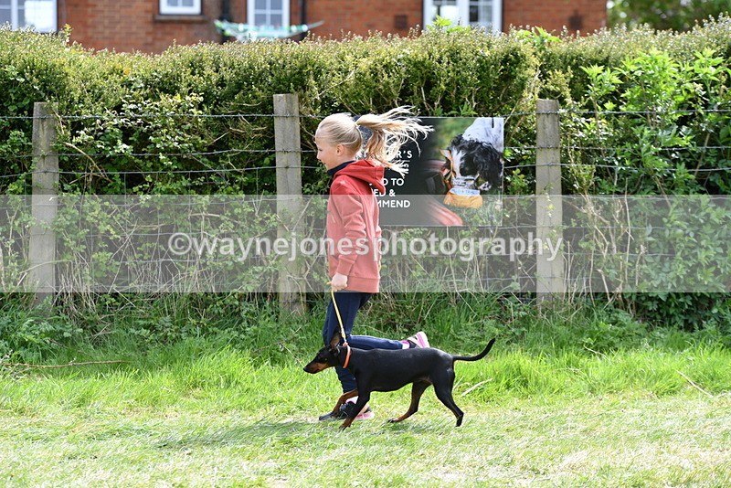 WJ5_0612 - Class 7 Best Terrier