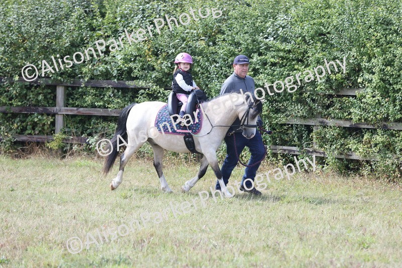 20250831-3281 - Class 24 - Absolute Beginners Pony