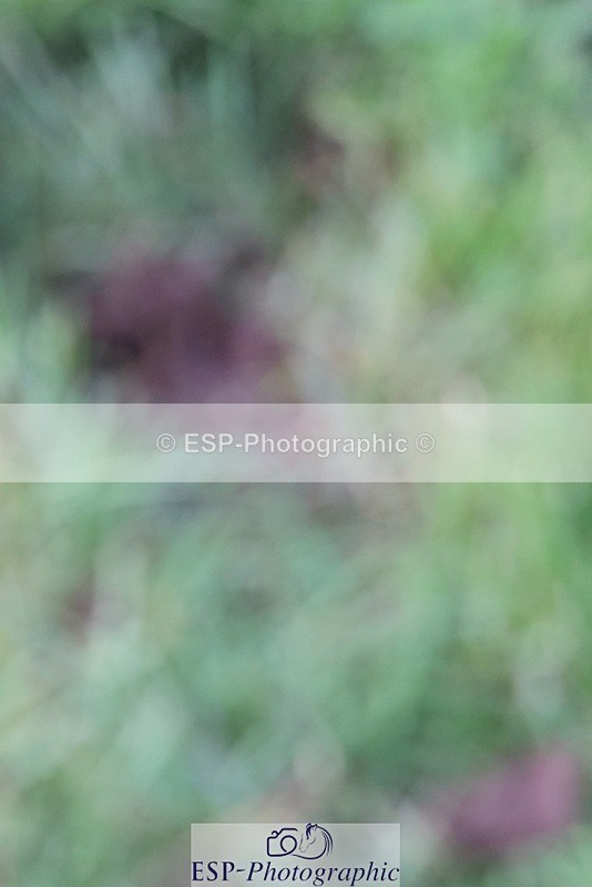 231022-162652-30483 - BE90 Presentations