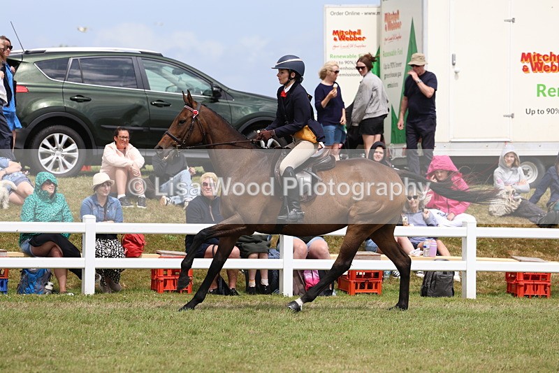 3E7A2372 - Class 11: Retraining of Racehorse