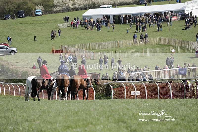 PtP 100423 484 - Old Berkshire Point-to-Point Lockinge 10/04/23