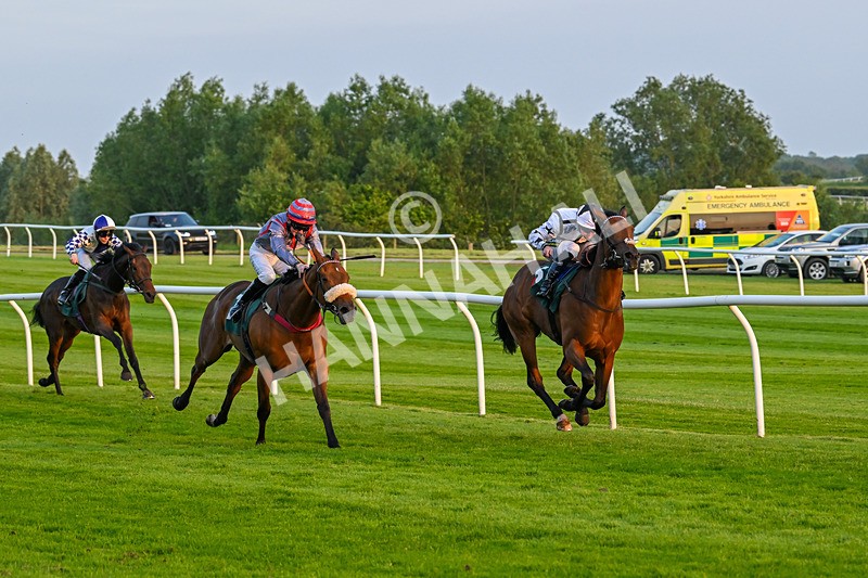 310524-Race 5-Dusk Dame-8926 - Race 5