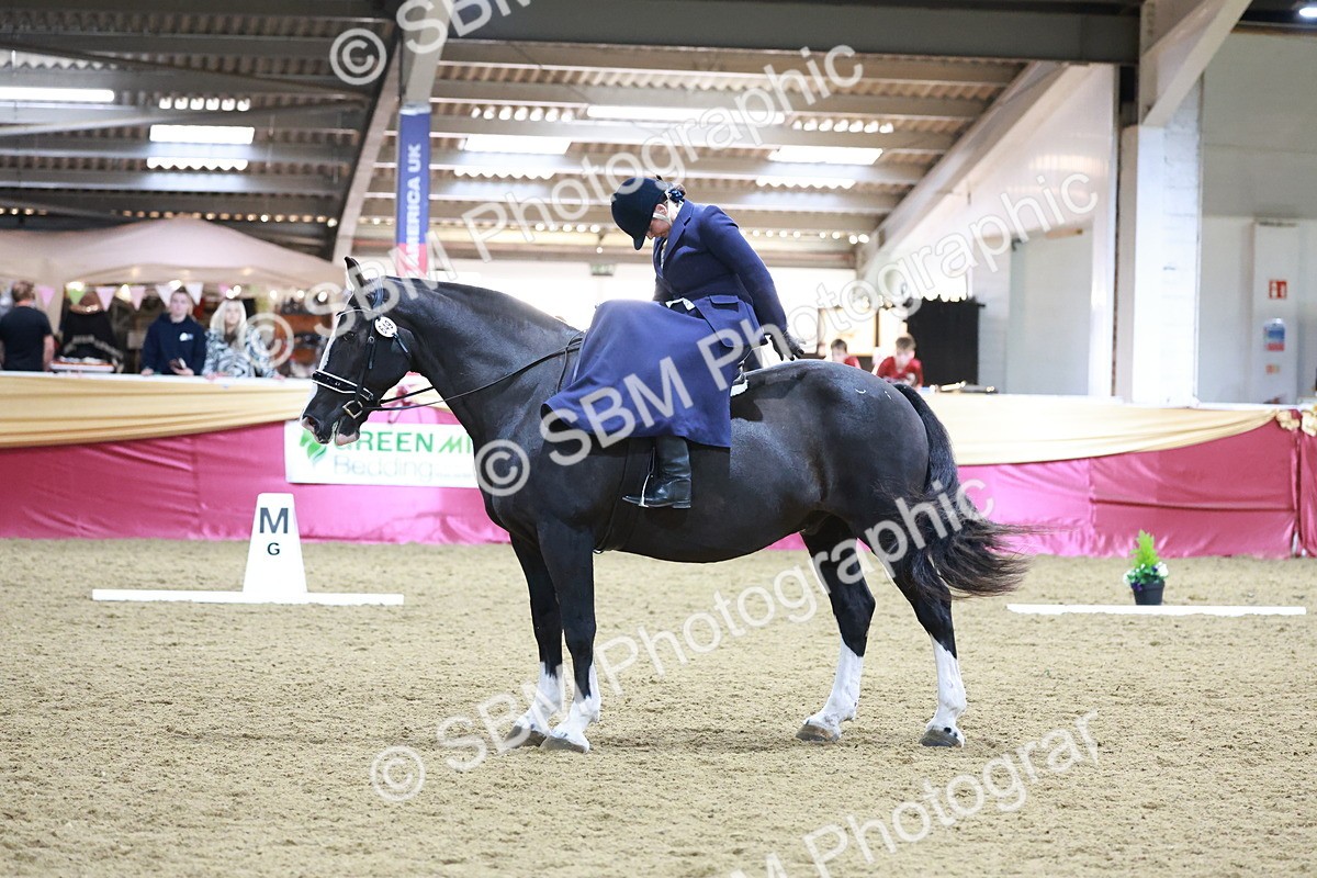 SBM_09938 - Class 61 - Dressage to Music