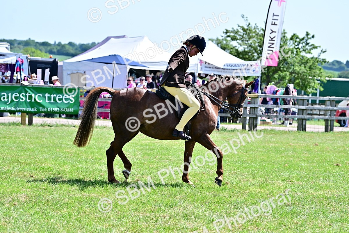 SBM_13971 - Class 95-97 - BSPS LHS Performance Ponies