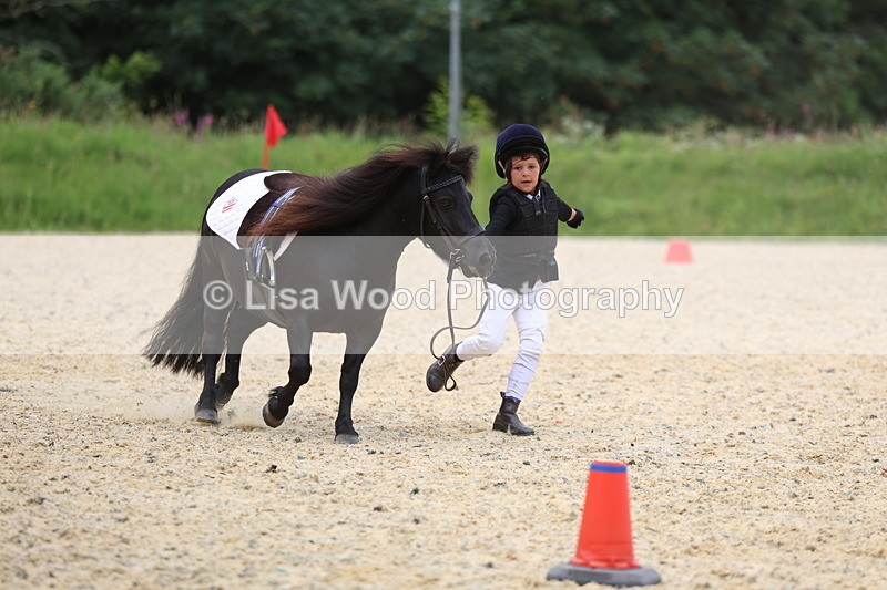 3E7A9532 - Walk trot run