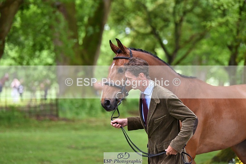 240522-171802-01513 - 264-BLS_ABSOLUTELY-William_Fox-Pitt