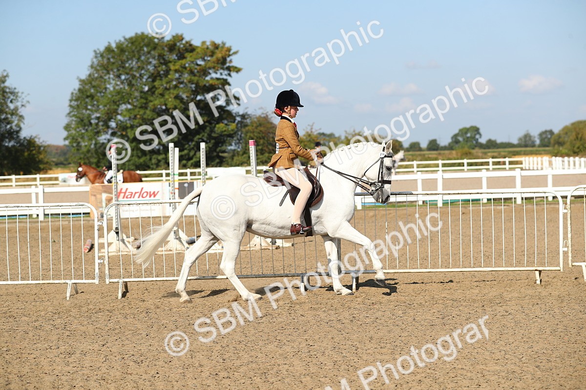 SBM_02224 - Class 43 Ridden Competition Horse/Pony