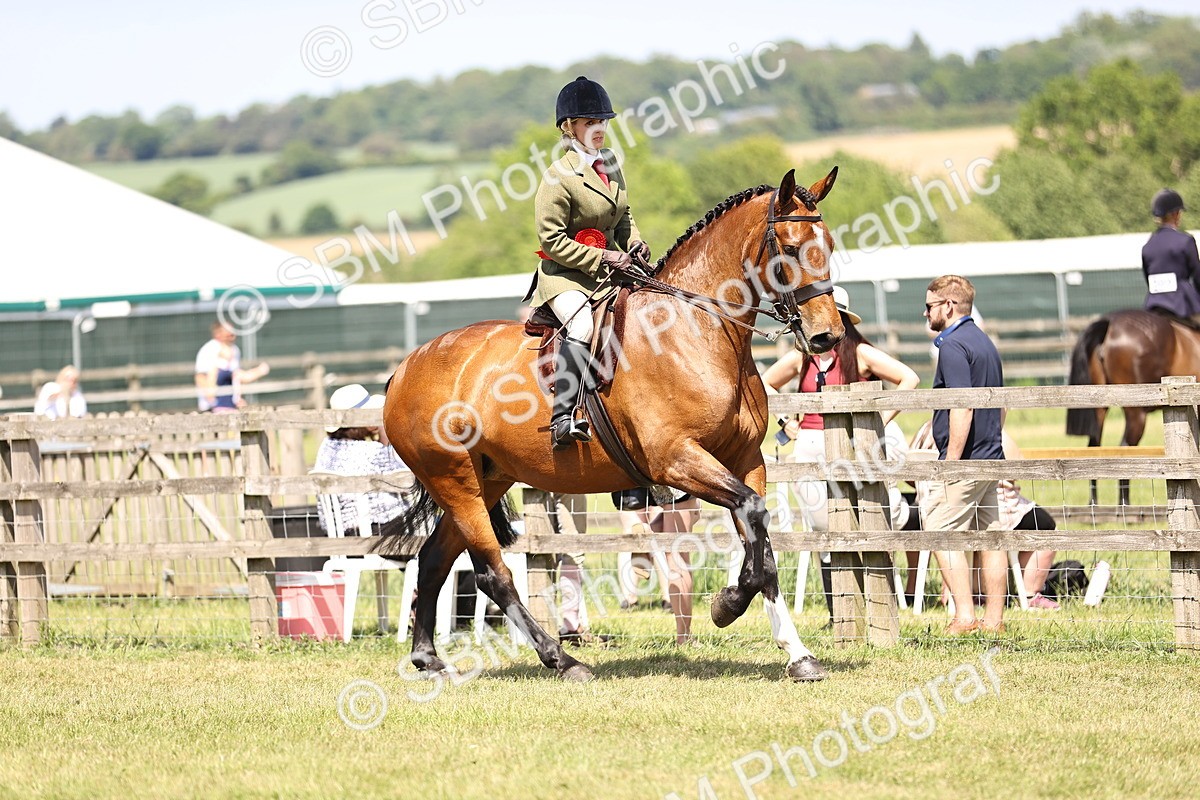 SBM_16232 - Class 79-80 - LIHS BSHA Rising Star Ridden Hunter