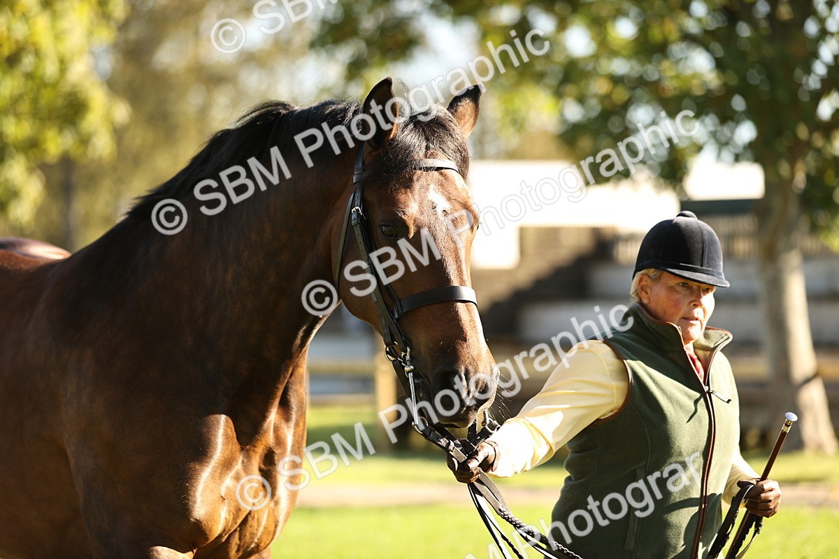 SBM_15732 - S1 - TSR in Hand Horse & Pony Showing