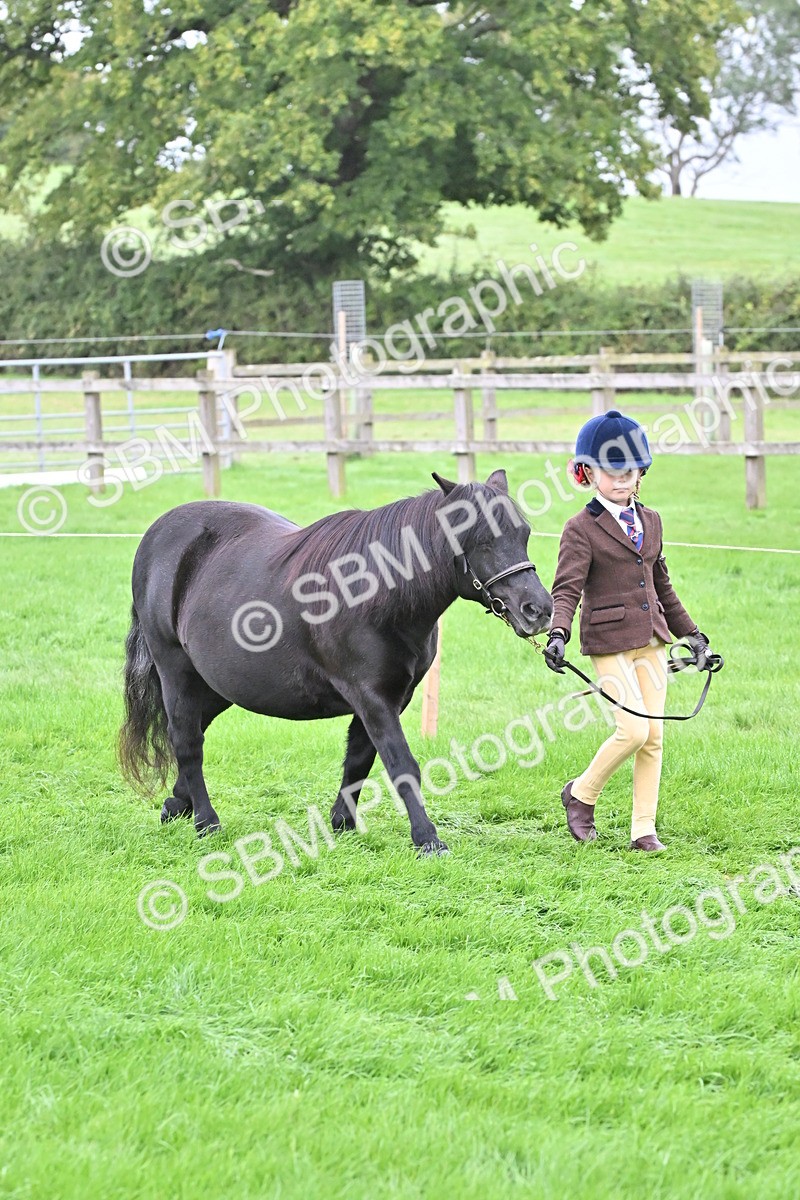 SBM_60889 - S48 - Mountain & Moorland In Hand Small Breeds