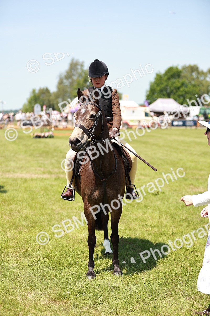 SBM_15807 - Class 108-109 - BSPS LIHS Open Gradle & Nursery Stakes