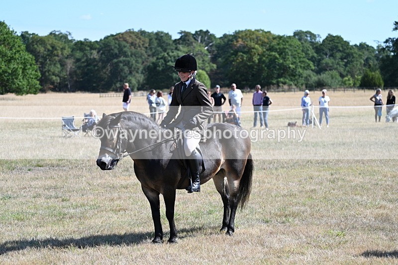 WJ7_3973 - Class 9 Mountain & Moorland Ridden