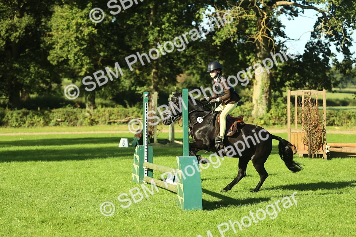 SBM_36320 - S29 - Novice & Newcomers Working Hunter Pony