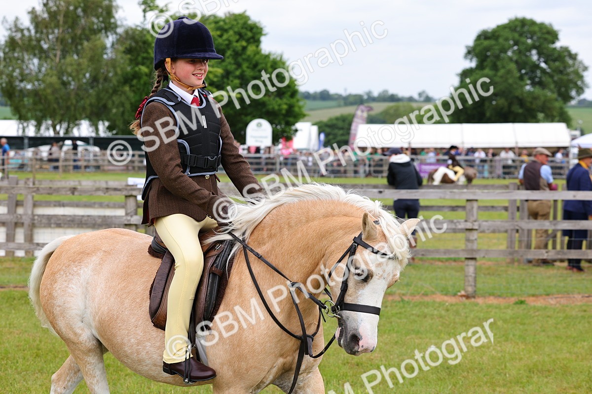SBM_08557 - Class 42-43 - LIHS BSPS Heritage Working Sports Pony