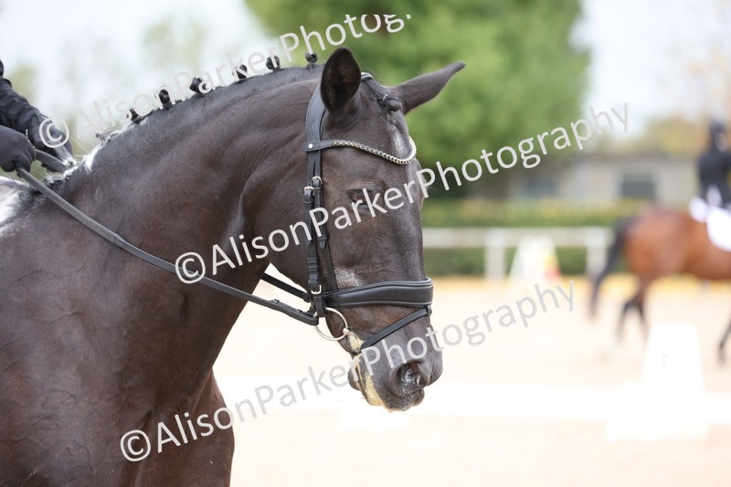 20250820-0519 - Class 14 - Prelim 5