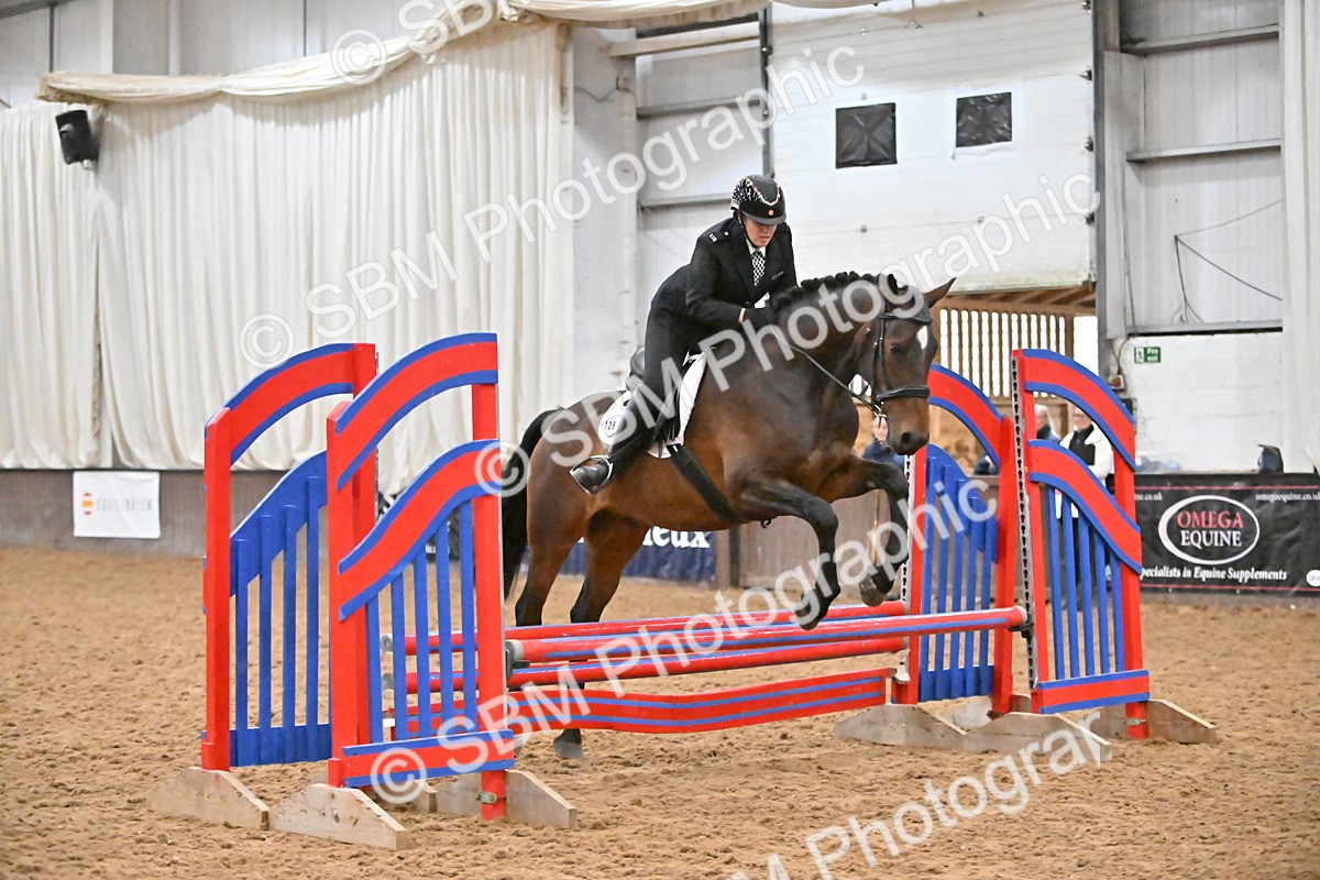 SBM_002967 - Class 37,38 - UKPSAF Performance Horse & Pony