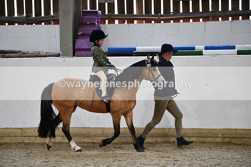 WJ5_6552 - Class 10 Childs Pony