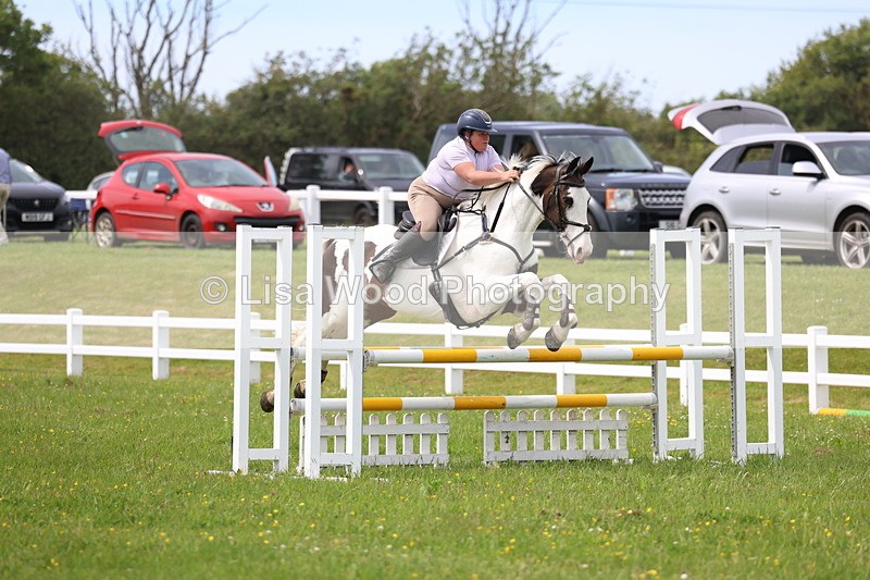 3E7A1845 - Class 13: Senior British Novice/90cm open