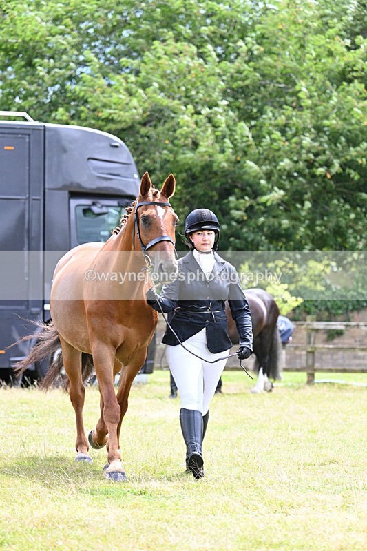 WJ7_6820 - Class 5a Most Handsome Gelding in Hand