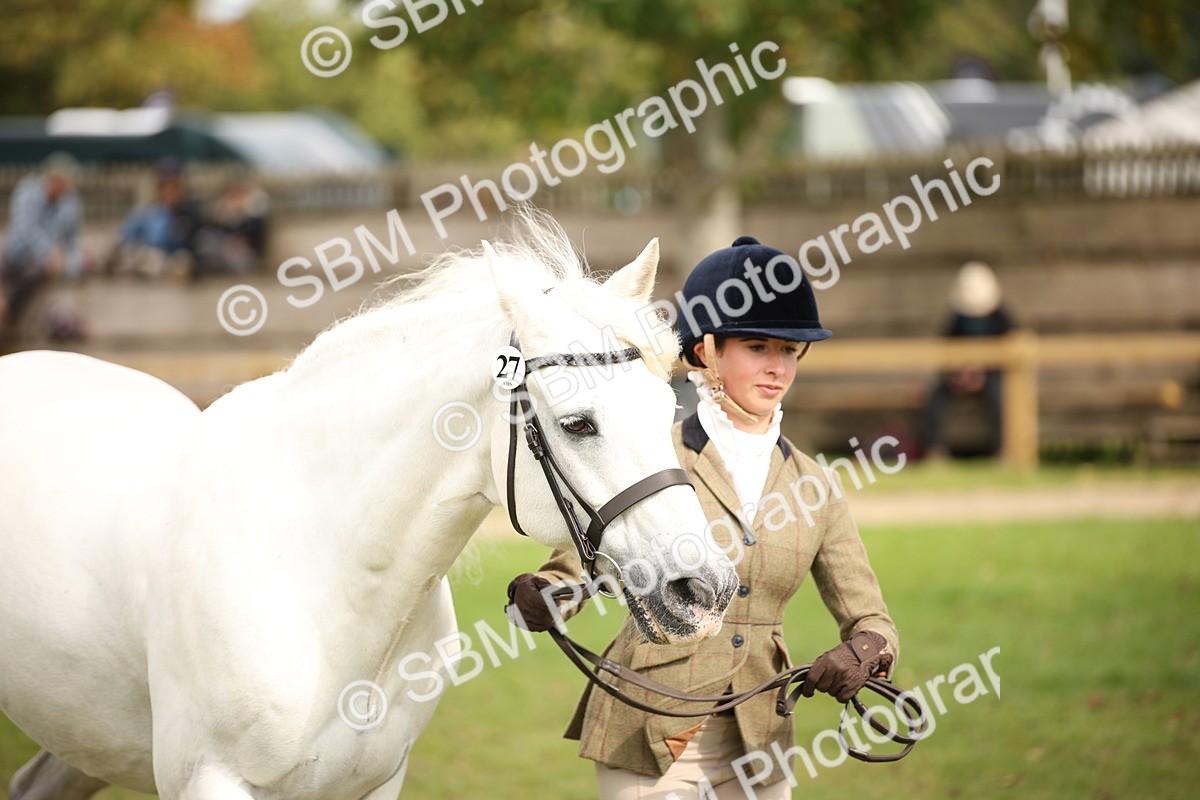 SBM_46368 - S25 - Mature Veteran In Hand