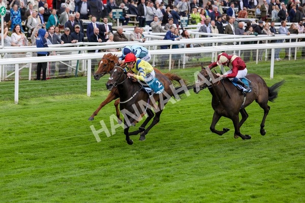 120724-Race 4-Karmology-1727 - Race 4 3.50pm Azets Handicap