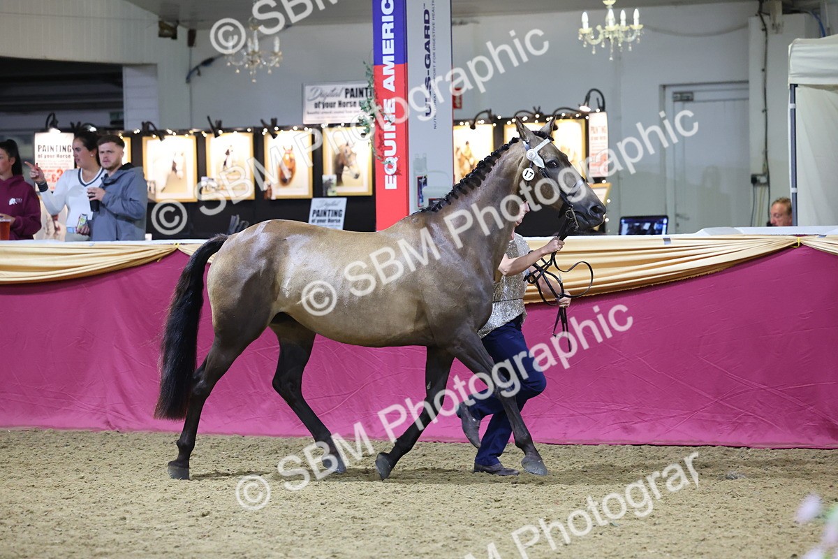 0B8A4540 - Class P Veteran Champ