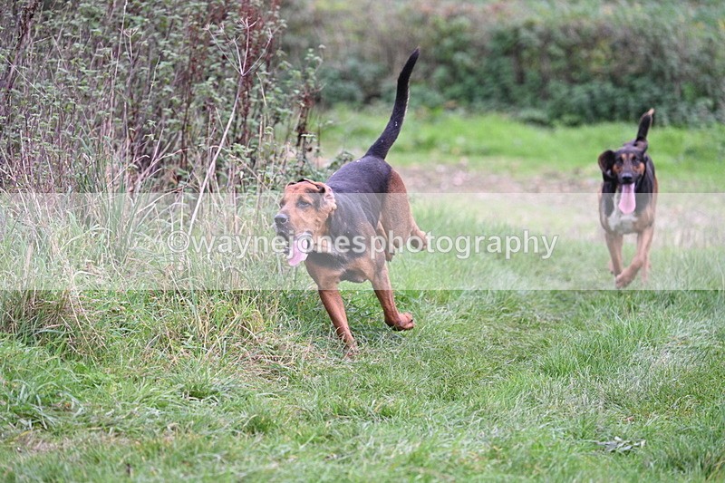 WJ7_8912 - Camera 1 only on this line