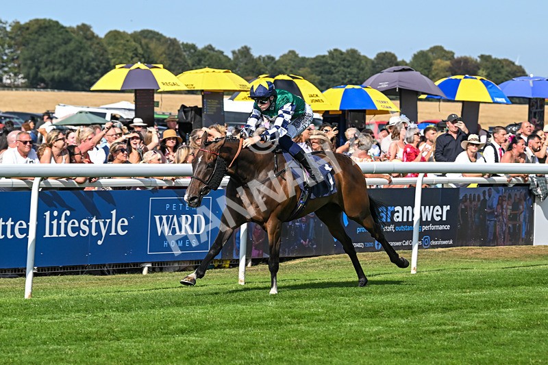 130825-Race 5-Bell Shot-8887 - Race 5