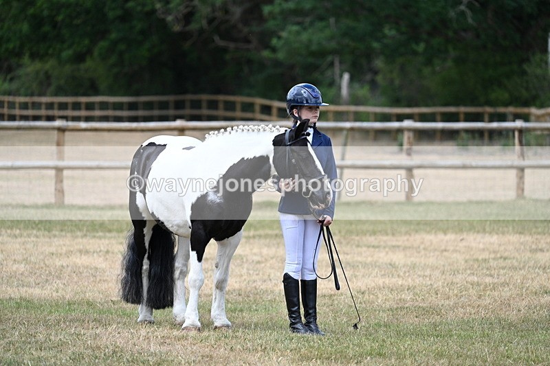WJ7_1515 - Class 4 Prettiest Mare up to 14.2hh in hand