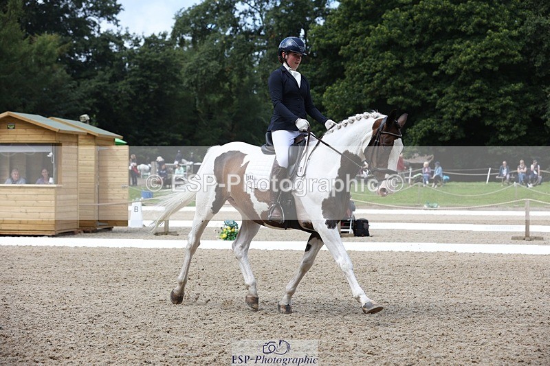 230812-112443-03762 - Cls 5 Novice Bronze 11.15 to 12.50 break