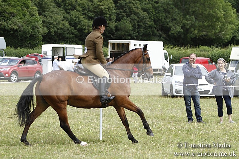 BVR160717-1807 - Ring 3 BVRC Show 16/07/17