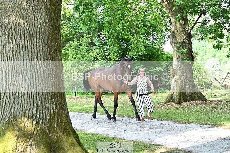 250521A-164056-01275 - C-252-Zoe.Boyles-SAM