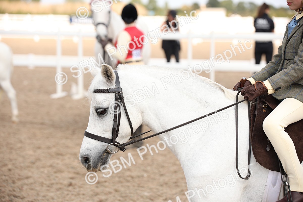 SBM_03757 - Class 19 Judge's Favourite