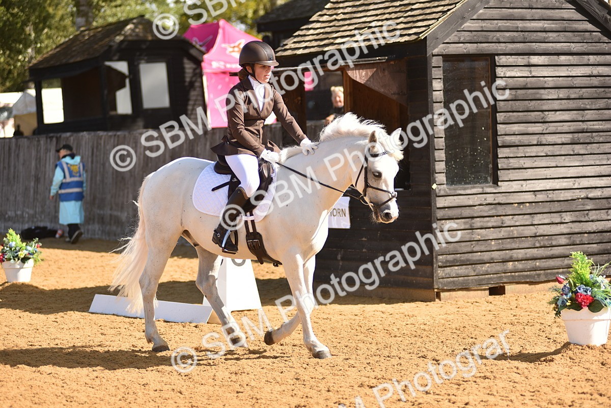 SBM_03007 - D4 - Small Tour Championship Intro 4