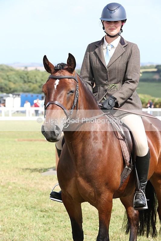 JPP_2455 - Class 19: Working Hunter 60cm