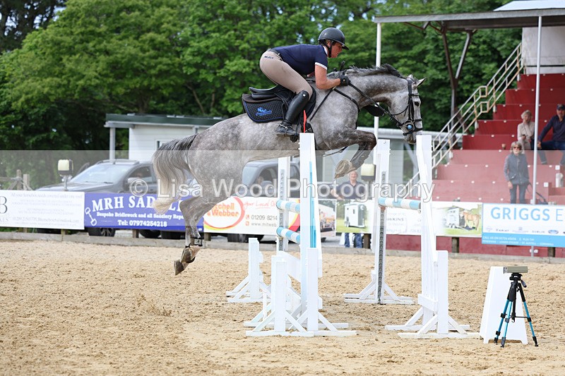 3E7A7426 - Class 8: Senior Foxhunter/1.20 open
