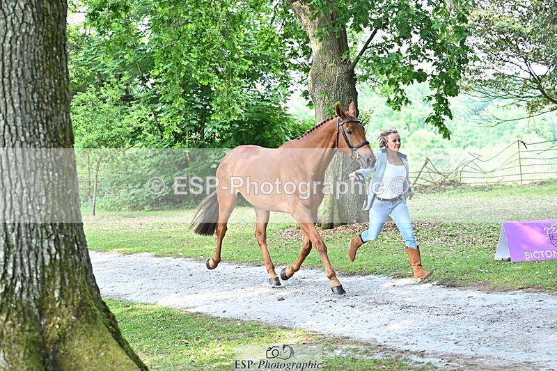 250521A-165913-01450 - C-276-Sammi.Birch-ROSAS.PARTY