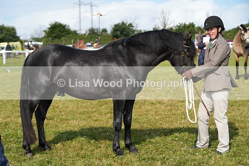 DSC05004 - Class 48: NPS M&M 2/3 year olds