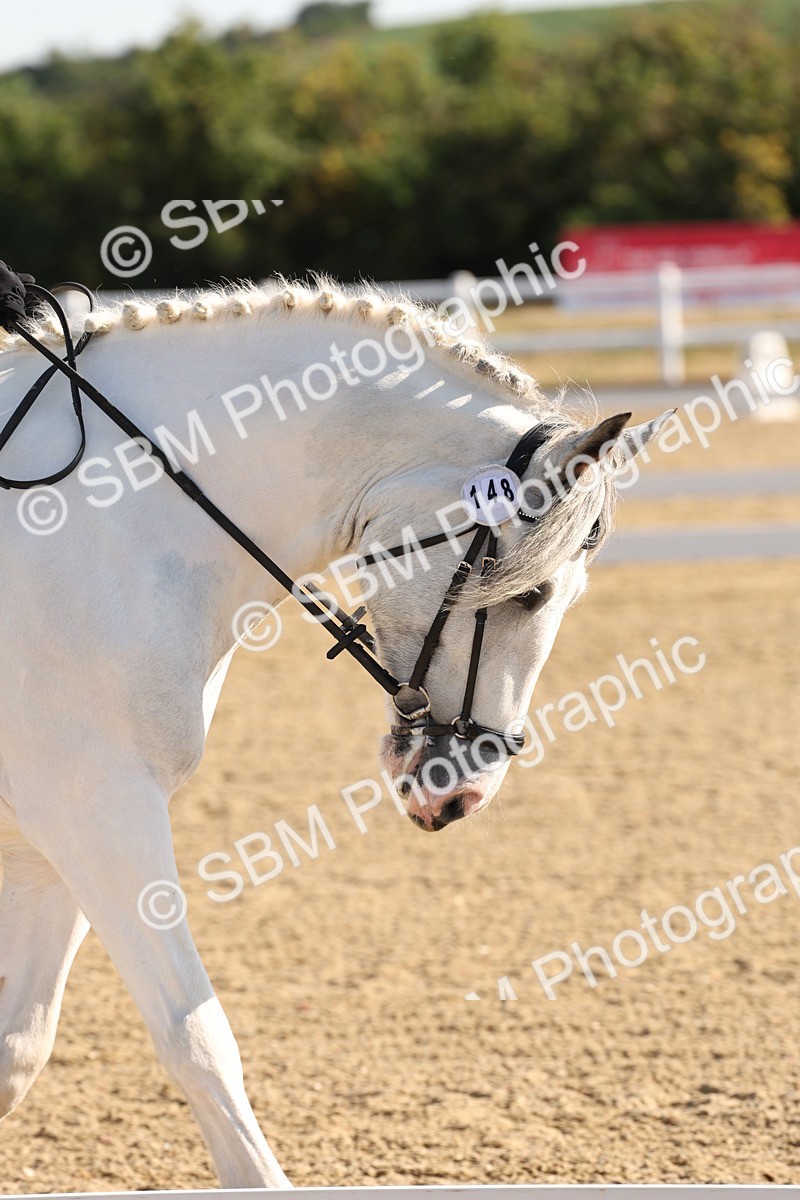 SBM_000055 - Intro 2 Warm Up