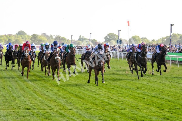 160525-Race 5-The Man-7006 - Race 5 4.15pm Irish Thoroughbred Marketing Handicap