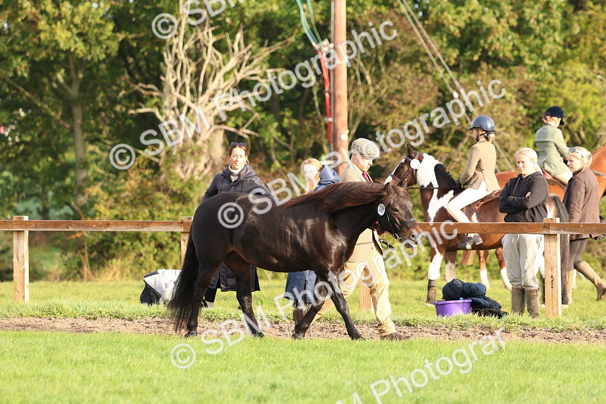 SBM_54803 - S39 - Starters In Hand Showing