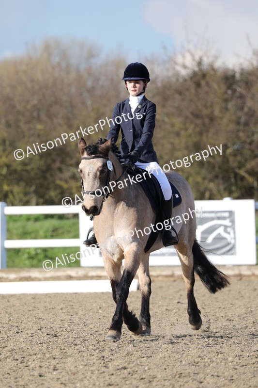 20260314-5921 - DR9 - PYO