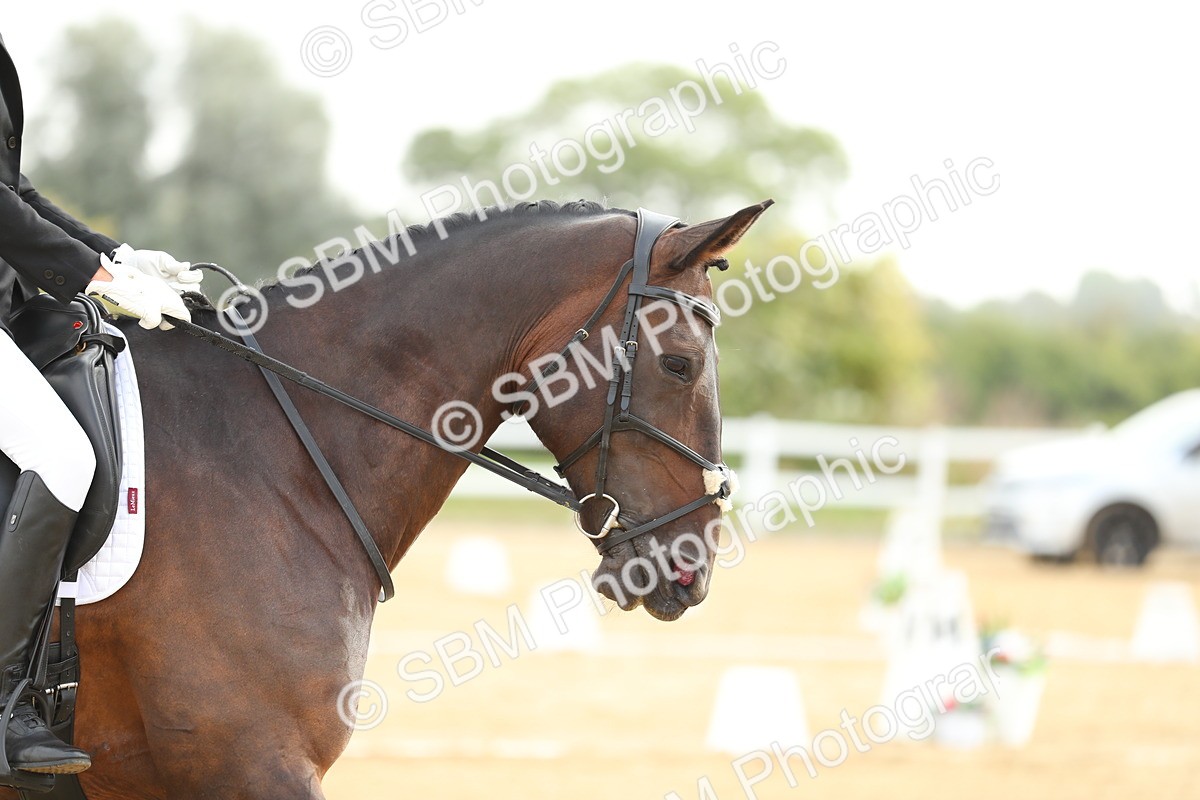 SBM_015059 - Class 13 - Novice 23 - 8,30-9.33