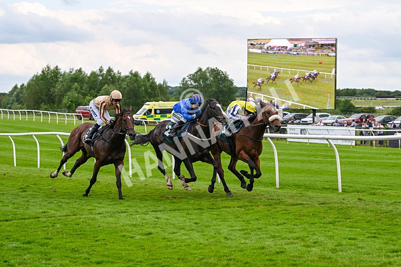 180624-Race 4-Animate-0445 - Race 4