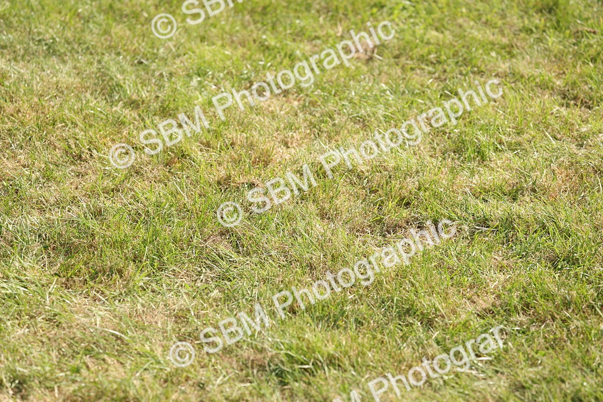 SBM_09625 - Class 33-38 - SSADL RIHS Qualifiers