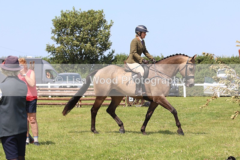 JPP_3322 - Class 22: Working Hunter 70cm