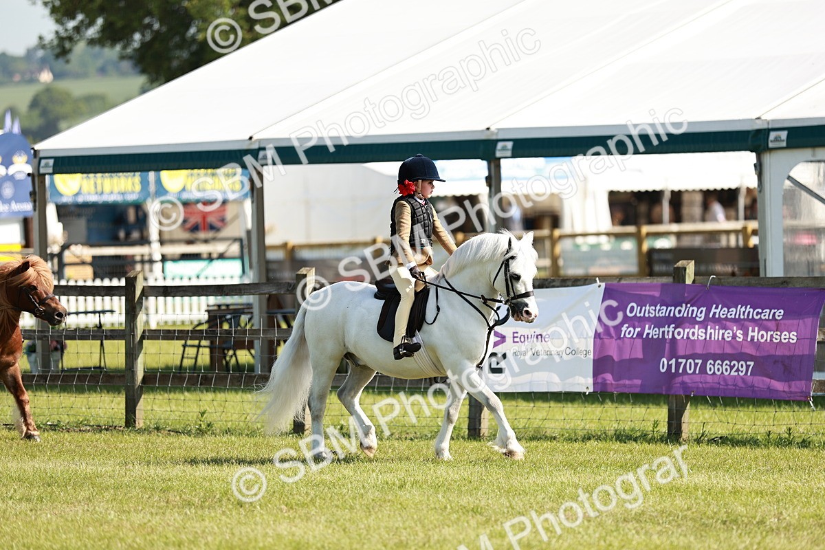 SBM_12562 - Class 106-107 - BSPS LIHS Working Sports Pony