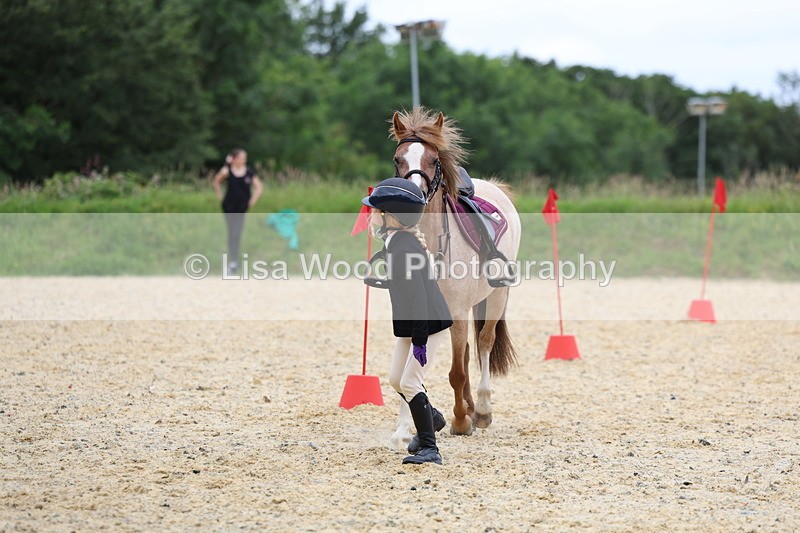 3E7A9455 - Walk trot run